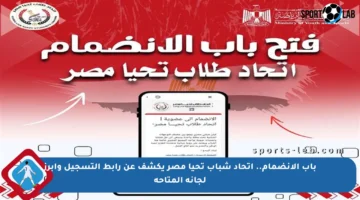 باب الانضمام.. اتحاد شباب تحيا مصر يكشف عن رابط التسجيل وأبرز لجانه المتاحة